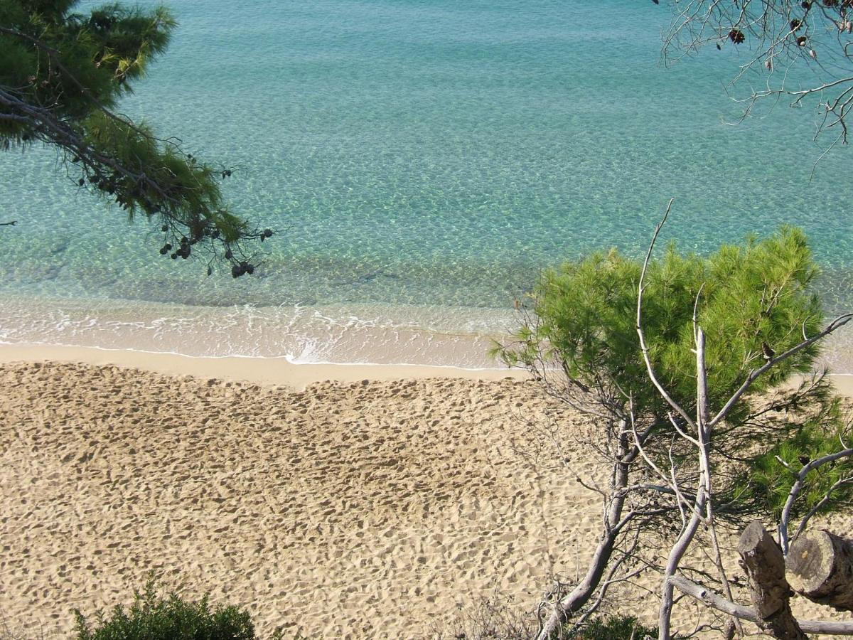 Anna'S Studios Argostoli  Bagian luar foto