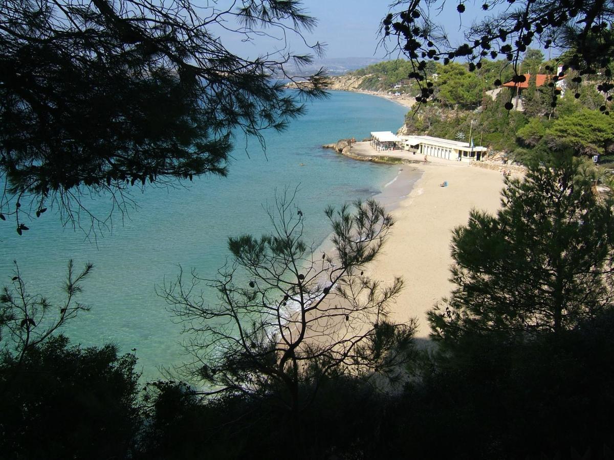 Anna'S Studios Argostoli  Bagian luar foto